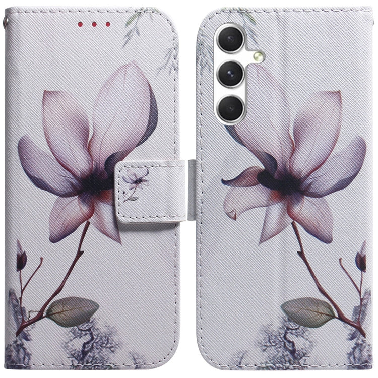Coloured Drawing Flip Leather Phone Case, For Samsung Galaxy S25 FE 5G, For Samsung Galaxy S25 5G