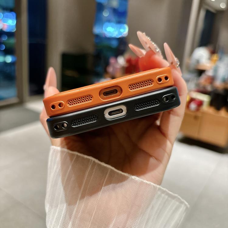 Transforms Into 17 Large Window Litchi Texture Magnetic Phone Case, For iPhone 17 Pro Max, For iPhone 17 Pro, For iPhone 17, For iPhone 16 Pro Max