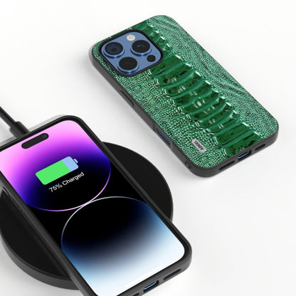 ABEEL Genuine Leather Weilai Series Phone Case, For iPhone 16 Pro Max, For iPhone 16 Pro, For iPhone 16 Plus, For iPhone 16, For iPhone 15 Pro Max, For iPhone 15 Pro