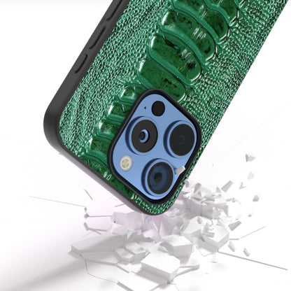 ABEEL Genuine Leather Weilai Series Phone Case, For iPhone 16 Pro Max, For iPhone 16 Pro, For iPhone 16 Plus, For iPhone 16, For iPhone 15 Pro Max, For iPhone 15 Pro