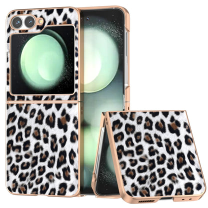 Nano Plating Leopard Print Phone Case, For Samsung Galaxy Z Flip6 / Flip7 FE, For Samsung Galaxy Z Fold5, For Samsung Galaxy Z Flip5