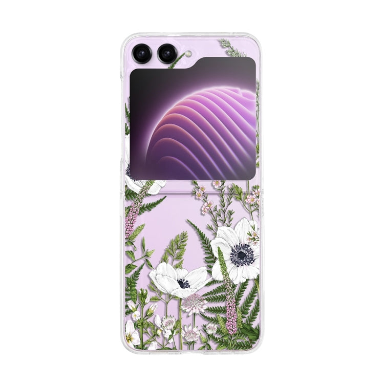 Painted Pattern PC Transparent Folding Phone Case, Series 1