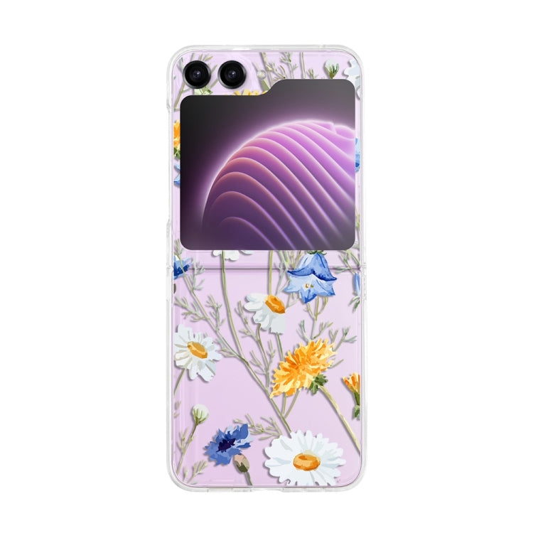 Painted Pattern PC Transparent Folding Phone Case, Series 1