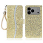 Glitter Powder Filp Leather Phone Case, For iPhone 18 Pro / 17 Pro, For iPhone 18 Pro Max / 17 Pro Max, For iPhone 17e / 16e, For iPhone 17