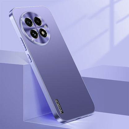 Streamer Series Micro Frosted Metal Paint PC Phone Case