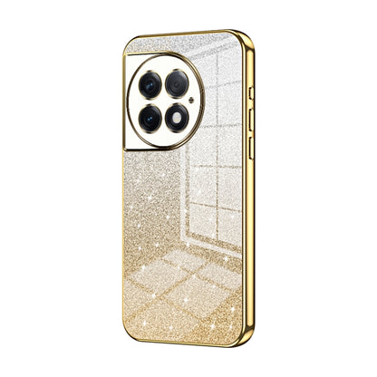 Gradient Glitter Powder Electroplated Phone Case, Series 1