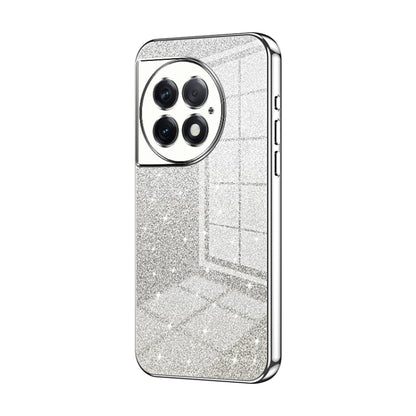 Gradient Glitter Powder Electroplated Phone Case, Series 1