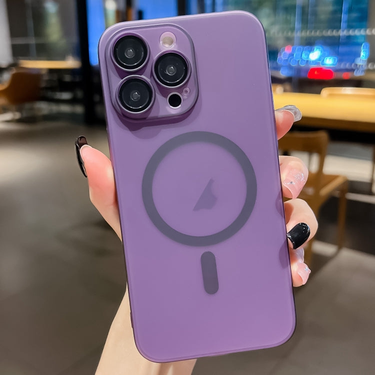 Ultra-thin MagSafe Frosted PC Phone Case, For iPhone 13 Pro Max, For iPhone 13 Pro, For iPhone 13, For iPhone 12