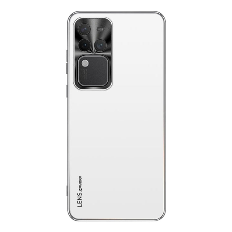AG Frosted Electroplating Acrylic Phone Case, For vivo iQOO Neo9, For vivo S18 Pro, For vivo S18, For vivo X100 Pro, For vivo X100, For vivo iQOO 12 Pro