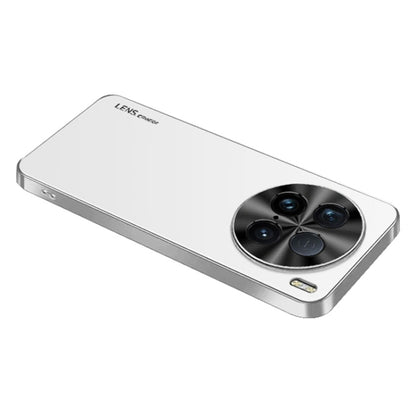 AG Frosted Electroplating Acrylic Phone Case, For vivo S19, For vivo Y200 GT, For vivo Y200t, For vivo X100s Pro, For vivo X100s, For vivo X100 Ultra