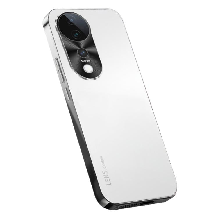 AG Frosted Electroplating Acrylic Phone Case, For vivo X200 Pro, For vivo Y300 Pro, For vivo V40 Pro, For vivo V40, For vivo S19 Pro, For vivo S19