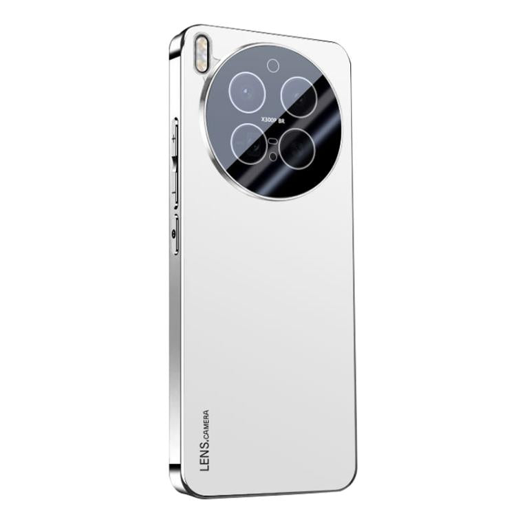 AG Frosted Electroplating Acrylic Phone Case, For vivo Y500 Pro 5G, For vivo iQOO 15, For vivo X300 Pro, For vivo X300, For vivo Y500 China, For vivo S30 Pro mini