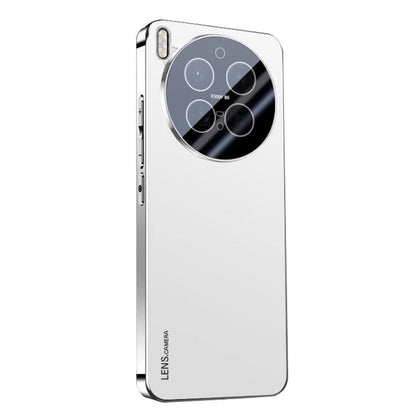 AG Frosted Electroplating Acrylic Phone Case, For vivo Y500 Pro 5G, For vivo iQOO 15, For vivo X300 Pro, For vivo X300, For vivo Y500 China, For vivo S30 Pro mini