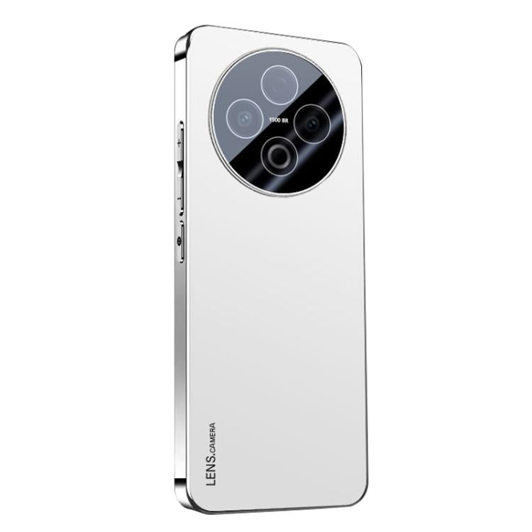 AG Frosted Electroplating Acrylic Phone Case, For vivo Y500 Pro 5G, For vivo iQOO 15, For vivo X300 Pro, For vivo X300, For vivo Y500 China, For vivo S30 Pro mini