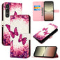 3D Painting Horizontal Flip Leather Phone Case, For Sony Xperia 5 VI, For Sony Xperia 5 V, For Sony Xperia 1 V