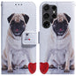 Coloured Drawing Flip Leather Phone Case, For Samsung Galaxy S25+ 5G, For Samsung Galaxy S25 Ultra 5G