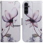 Coloured Drawing Flip Leather Phone Case, For Samsung Galaxy S25 FE 5G, For Samsung Galaxy S25 5G
