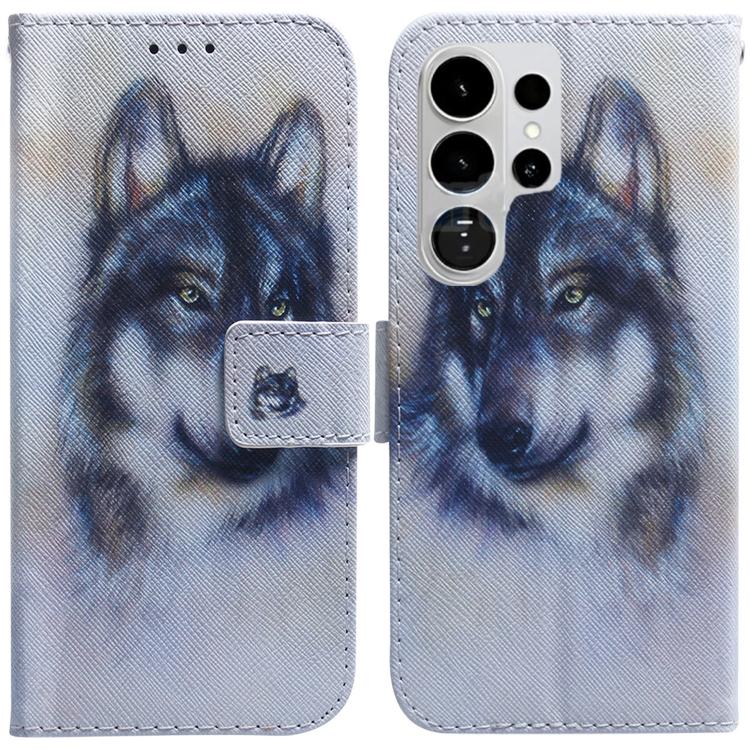 Coloured Drawing Flip Leather Phone Case, For Samsung Galaxy S26 Ultra 5G, For Samsung Galaxy S26 5G