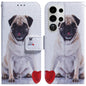Coloured Drawing Flip Leather Phone Case, For Samsung Galaxy S26 Ultra 5G, For Samsung Galaxy S26 5G