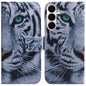 Coloured Drawing Flip Leather Phone Case, For Galaxy S26 FE 5G, For Samsung Galaxy S26+ 5G