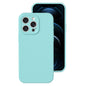 Precise Hole Liquid Silicone Jelly Color Full Coverage Phone Case