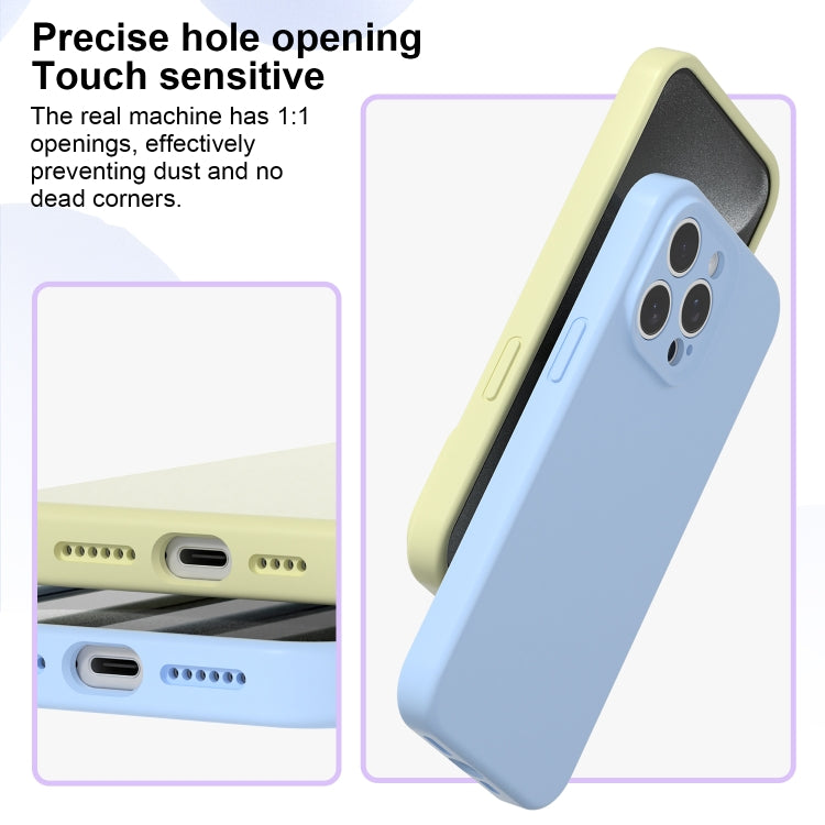 Precise Hole Liquid Silicone Jelly Color Full Coverage Phone Case, For iPhone 12 Pro Max