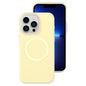 Jelly Liquid Silicone MagSafe Magnetic Phone Case, For iPhone 13 Pro, For iPhone 13