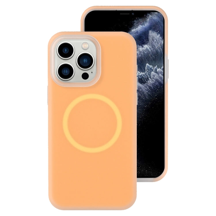 Jelly Liquid Silicone MagSafe Magnetic Phone Case, For iPhone 12 Pro, For iPhone 11 Pro Max
