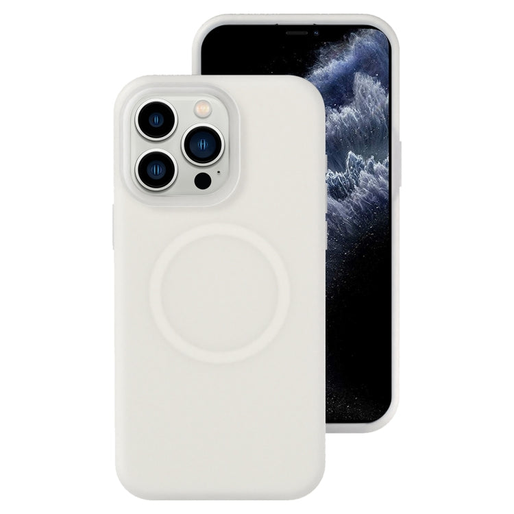 Jelly Liquid Silicone MagSafe Magnetic Phone Case, For iPhone 12 Pro, For iPhone 11 Pro Max