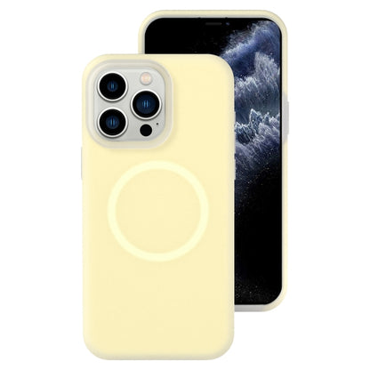 Jelly Liquid Silicone MagSafe Magnetic Phone Case, For iPhone 12 Pro, For iPhone 11 Pro Max