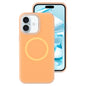 Jelly Liquid Silicone MagSafe Magnetic Phone Case, For iPhone 16, For iPhone 15 Pro Max
