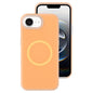 Jelly Liquid Silicone MagSafe Magnetic Phone Case, For iPhone 17e / 16e, For iPhone 16 Pro Max