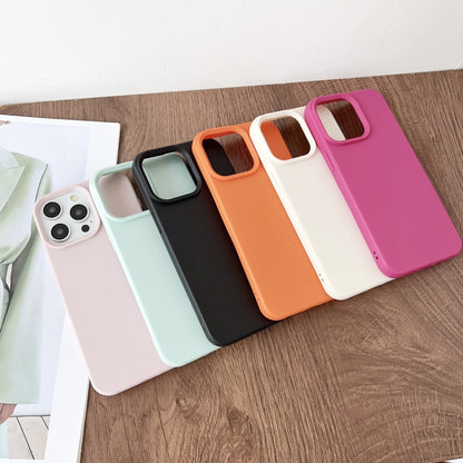 Leather Texture TPU Full Coverage Phone Case, For iPhone 16 Plus, For iPhone 16, For iPhone 15 Pro Max, For iPhone 15 Pro