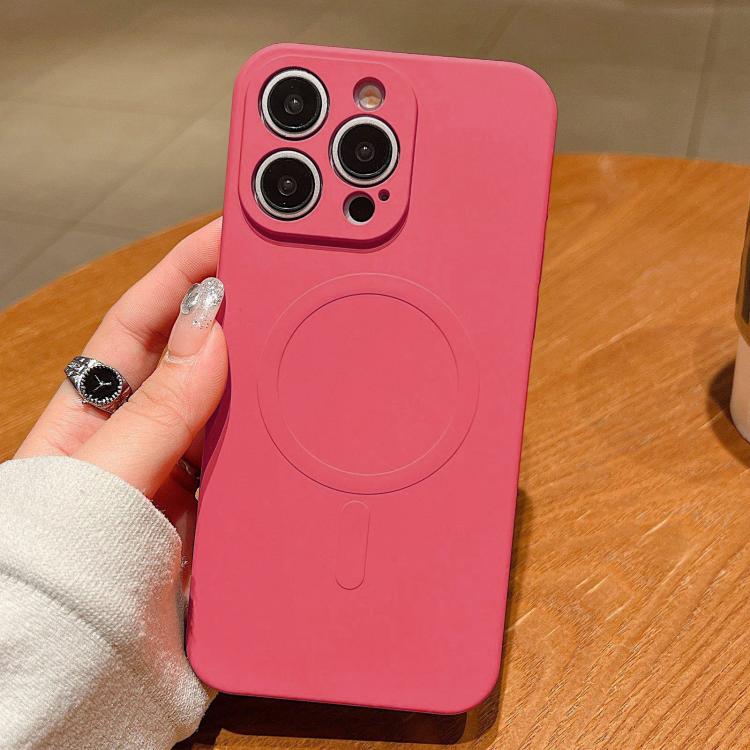 Solid Color Liquid Silicone MagSafe Magnetic Phone Case, For iPhone 12 Pro
