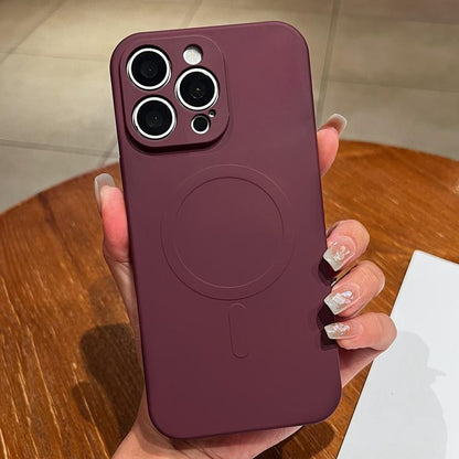 Solid Color Liquid Silicone MagSafe Magnetic Phone Case, For iPhone 12 Pro