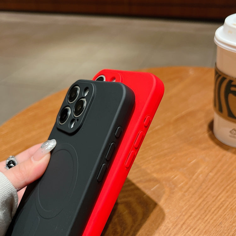 Solid Color Liquid Silicone MagSafe Magnetic Phone Case, For iPhone 11 Pro