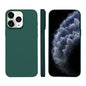 Liquid Silicone Phone MagSafe Case, For iPhone 11 Pro Max, For iPhone 11