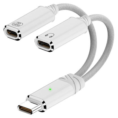 2 in 1 Type-C Male to PD 100W Type-C Charging and Type-C Audio Female Earphone Adapter