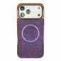 Electroplating PC Glitter Grain MagSafe Phone Case, For iPhone 18 Pro / 17 Pro, For iPhone 18 Pro Max/17 Pro Max, For iPhone 16 Pro Max, For iPhone 16 Pro