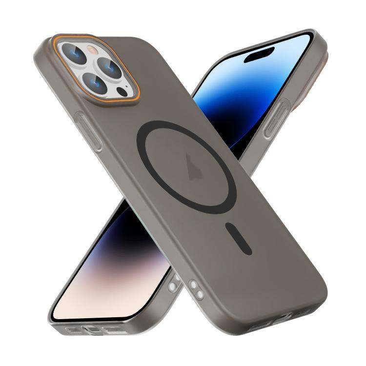 Translucent Frosted Skin PC MagSafe Phone Case, For iPhone 14 Pro Max, For iPhone 13 Pro Max, For iPhone 13 Pro, For iPhone 13