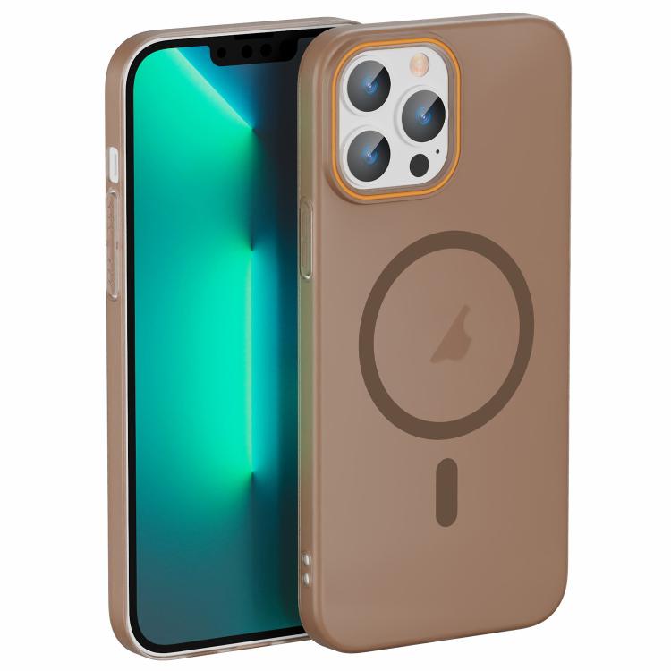 Translucent Frosted Skin PC MagSafe Phone Case, For iPhone 14 Pro Max, For iPhone 13 Pro Max, For iPhone 13 Pro, For iPhone 13