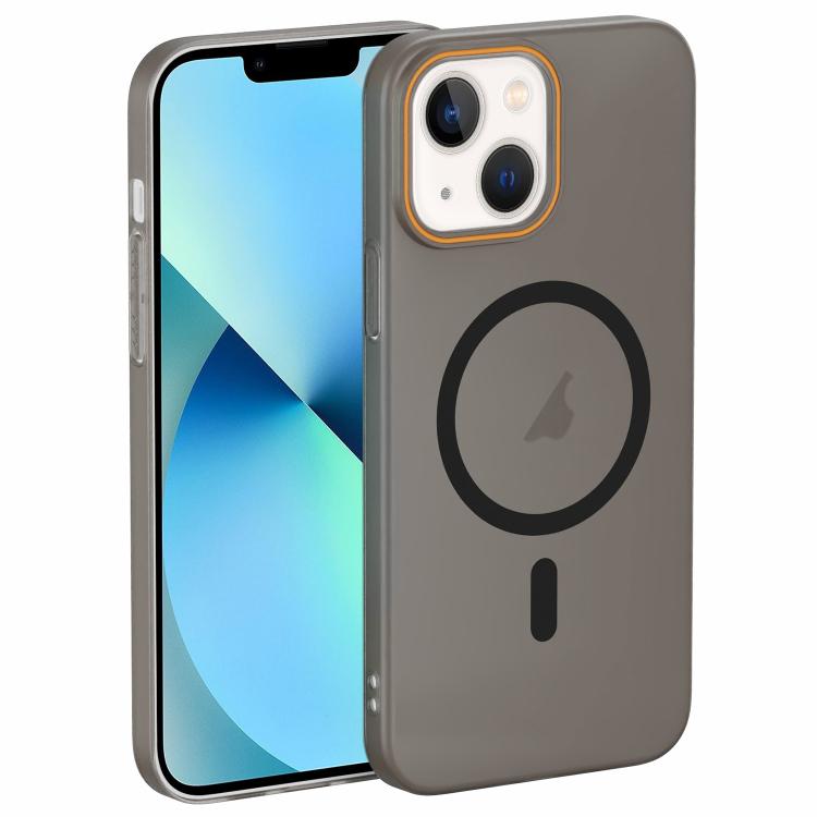 Translucent Frosted Skin PC MagSafe Phone Case, For iPhone 14 Pro Max, For iPhone 13 Pro Max, For iPhone 13 Pro, For iPhone 13