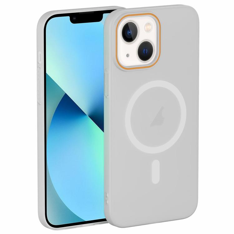 Translucent Frosted Skin PC MagSafe Phone Case, For iPhone 14 Pro Max, For iPhone 13 Pro Max, For iPhone 13 Pro, For iPhone 13