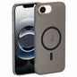 Translucent Frosted Skin PC MagSafe Phone Case, For iPhone 16e, For iPhone 16 Pro Max, For iPhone 16 Pro, For iPhone 16 Plus