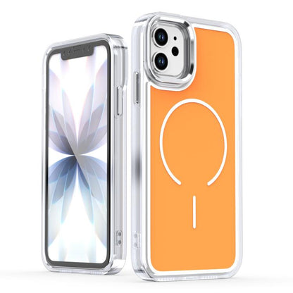 Bright Shadow Two-color MagSafe Magnetic Phone Case, For iPhone 11