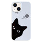 Painted Pattern PC Phone Case, For iPhone 16