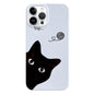 Painted Pattern PC Phone Case, For iPhone 16 Pro