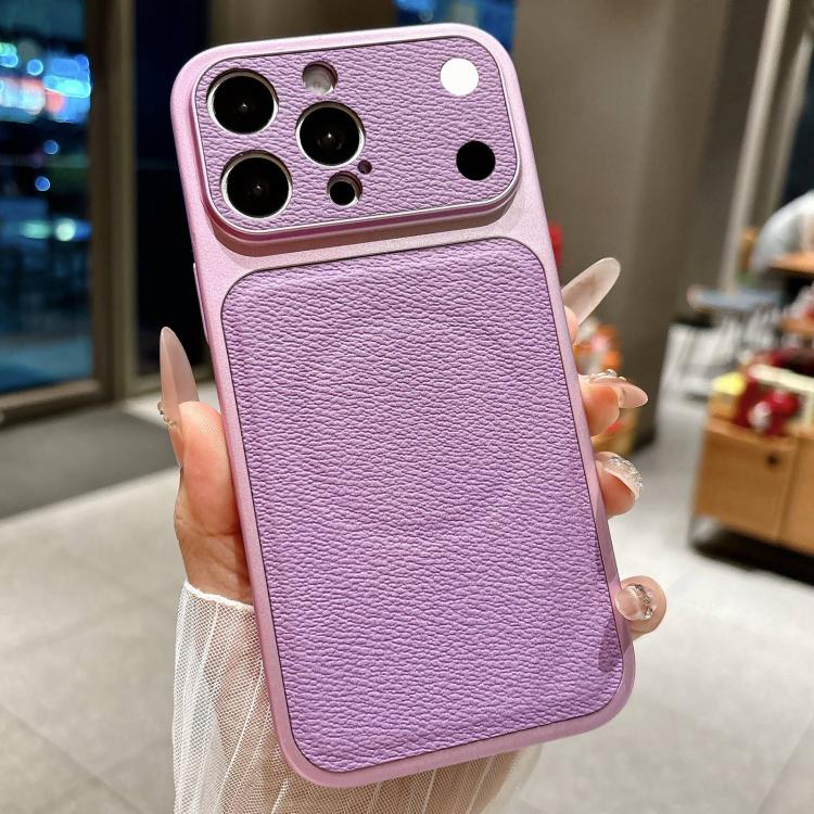 Transforms Into 17 Large Window Litchi Texture Magnetic Phone Case, For iPhone 14 Pro Max, For iPhone 13 Pro Max, For iPhone 13 Pro, For iPhone 13