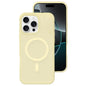 Crystal-Clear Colors Skin-friendly Feel Liquid Silicone Magnetic Phone Case, For iPhone 16 Pro, For iPhone 16