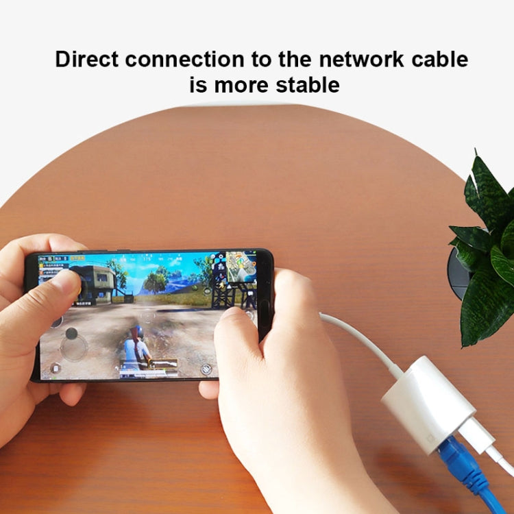 NK-1035 TC 2 in 1 USB-C / Type-C Male to Ethernet + Type-C Power Female Adapter, NK-1035 TC